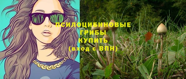 марки lsd Белокуриха