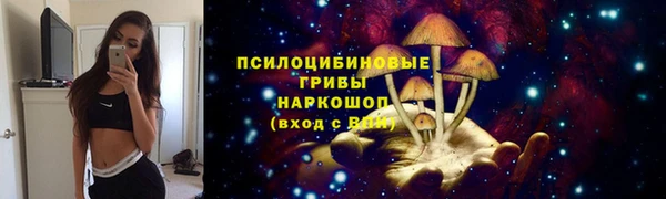 марки lsd Белокуриха
