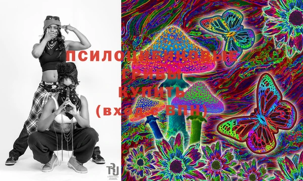 ешки Белоозёрский