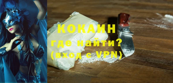 дживик Сясьстрой