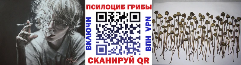 Галлюциногенные грибы GOLDEN TEACHER Вяземский