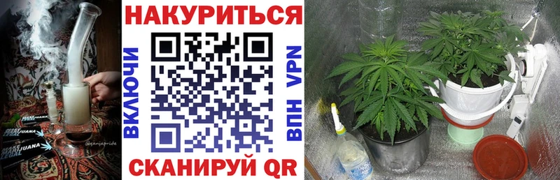 Бошки Шишки ГИДРОПОН  shop формула  Вяземский 